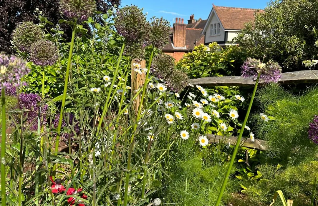 The Knowle At St Leonards-1